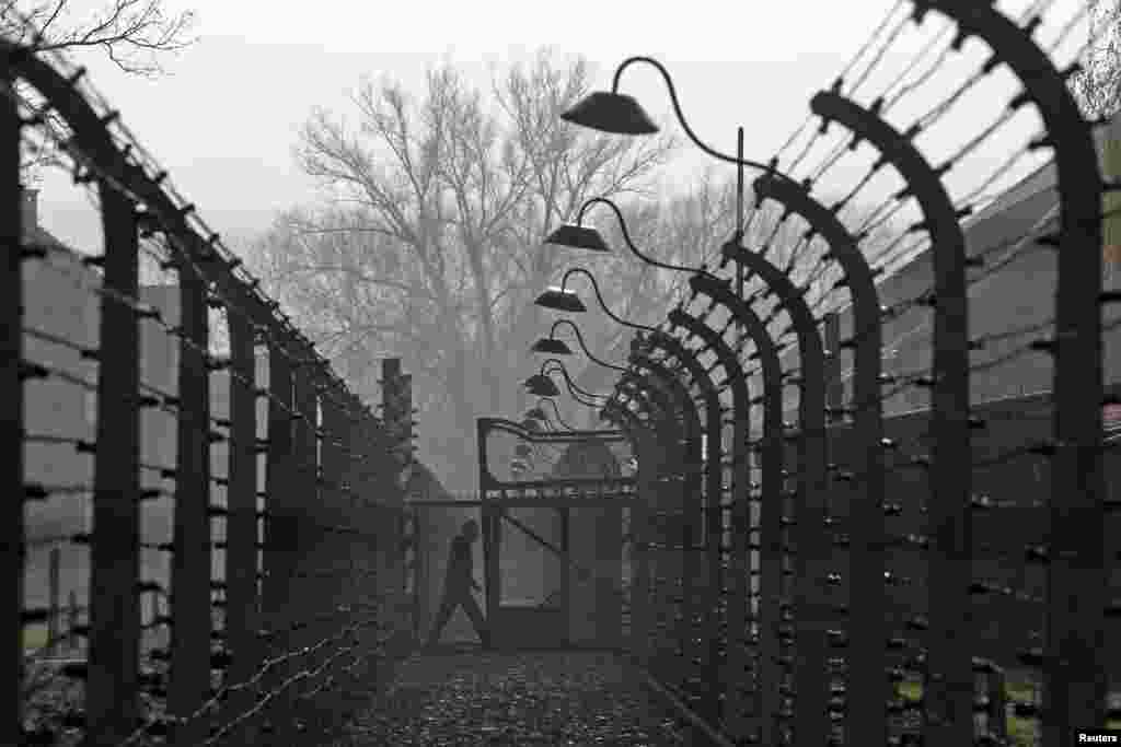 A visitor walks between electric barbed-wired fences at the Auschwitz-Birkenau memorial and former concentration camp, Germany. 