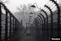 FILE - A visitor walks between electric barbed-wire fences at the Auschwitz-Birkenau Memorial and Museum in Poland, Nov. 18, 2013.