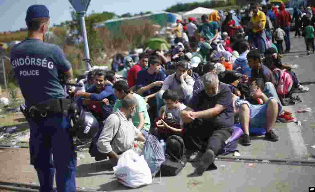 این گروه پناهندگان به یک کمپ در سرحد صربستان و هنگری در حالی رسیده اند که ملل متحد از آمدن حدود ۴٢ هزار مهاجر دیگر به هنگری خبر میدهد &nbsp;