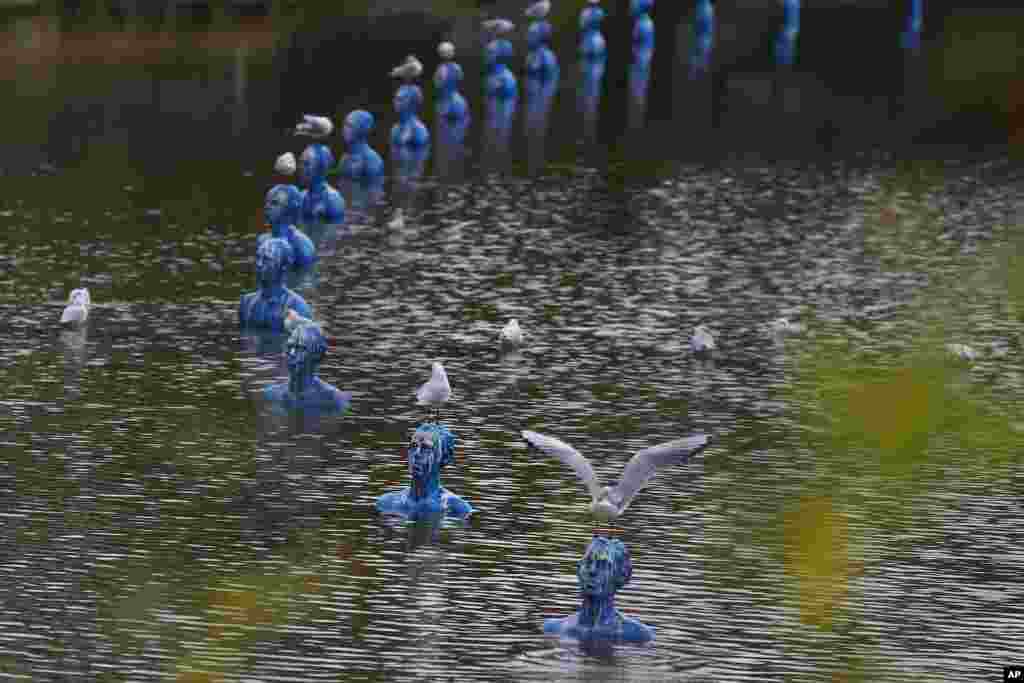 A seagull stands on the art-work &quot;Where the Tides Ebb and Flow&quot; by Argentinian artist Pedro Marzorati installed in a pond at the Montsouris park during the COP21, United Nations Climate Change Conference, in Paris, France.