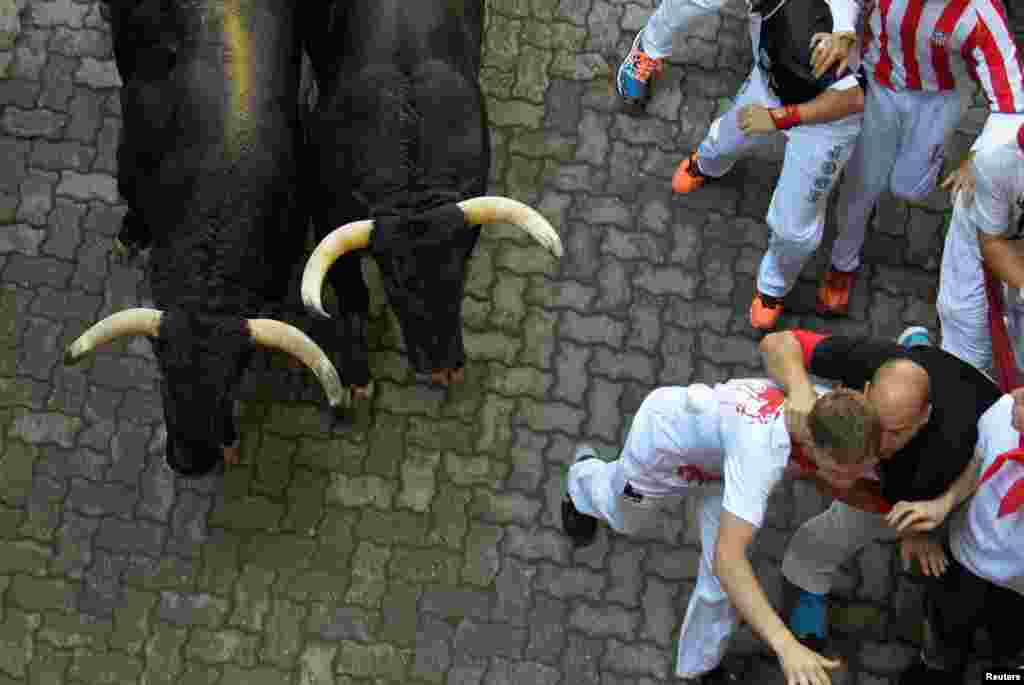 San Fermin festivalının ilk günündə iştirakçılar öküzlərin qarşısında qaçırlar. Pamplona, İspaniya. 7 iyul, 2016.