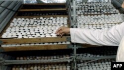 فوڈ اتھارٹی کے حکام کا کہنا ہے کہ اس بارے میں وثوق سے کوئی بات نہیں کی جا سکتی کہ یہ انڈے واقعی پلاسٹک سے تیار کردہ ہیں بھی یا نہیں۔ (فائل فوٹو)