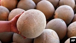 FILE - A produce vendor holds a California-grown cantaloupe at her business near Denver, Sept. 16, 2011. The fruit, also known as rockmelon, muskmelon and other names, is the source of a listeria outbreak in Australia.
