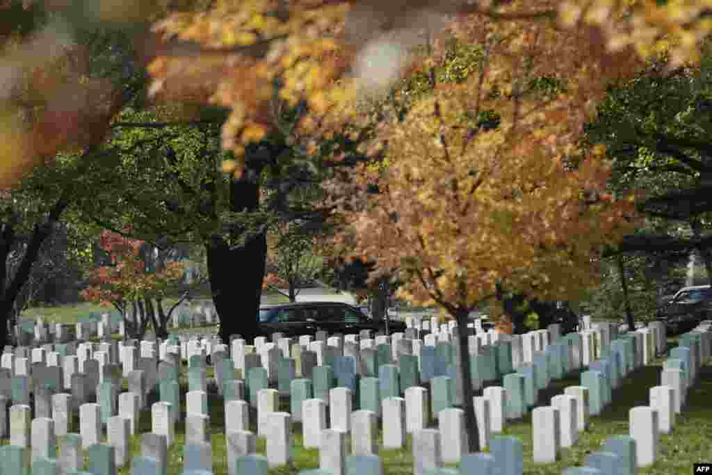 US President Barack Obama's limo arrives for a wreath-laying ceremony at the Tomb of the Unknown Soldier at Arlington National Cemetery in Arlington, Virginia to commemorate Veterans Day.