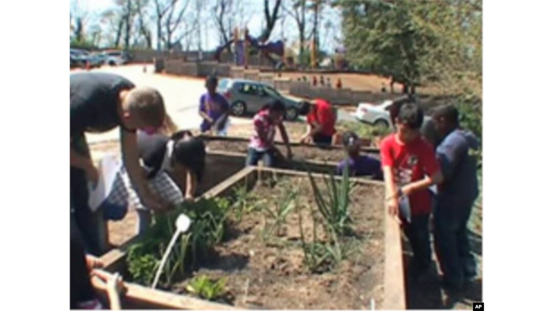 Students at E.W. Stokes Public Charter School in Washington, D.C., plant their own garden with Peter Nalli, a Farm to Desk curriculum director.