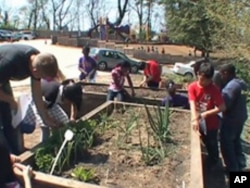 Students at E.W. Stokes Public Charter School in Washington, D.C., plant their own garden with Peter Nalli, a Farm to Desk curriculum director.