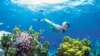 Aktivis Lingkungan Australia Tolak Rencana Pengembangan Wisata Great Barrier Reef