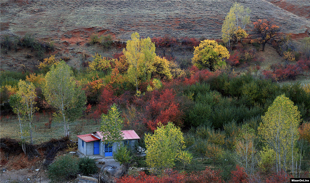 پاییز در قره داغ - آذربایجان شرقی عکس: پرویز گلی زاده 