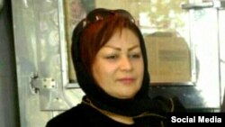 Nəsim Sadıqi