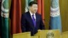 시진핑 주석, 중동 현안 중국 역할 강조