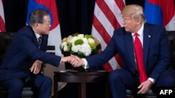 도널드 트럼프 미국 대통령과 문재인 한국 대통령이 23일 유엔총회가 열리고 있는 뉴욕에서 정상회담을 했다.