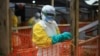 FILE - An Ebola health worker is seen at a treatment center in Beni, Eastern Congo, April, 16, 2019. The World Health Organization is warning it may not be possible to contain Ebola to the two affected provinces in eastern Congo if violent attacks on health teams continue.