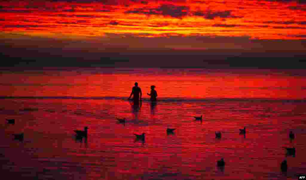 People and seagulls bathe in the sea as the sun rises in Stralsund, close to the Baltic sea island of Rügen, Germany.