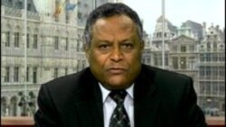 “ኢትዮጵያ ልኦላዊነቴን ተጋፍታ ጥቃት ከፍታብኛለች” ኤርትራ