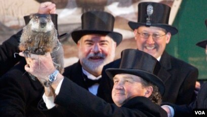 Groundhog Di As Prediksi Musim Dingin Berlangsung 6 Minggu Lagi