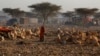 Experts Say Climate Change May Be Making African Drought Worse