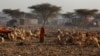 موسمیاتی تبدیلی افریقہ میں قحط سالی میں شدت کا باعث: ماہرین