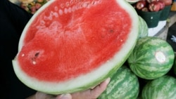 [VOA 현장영어 오디오] It’s been a while since we had watermelon.