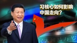 焦点对话: 回顾2016: 习核心确立，如何影响中国走向？