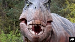 Replika dinosaurus Tyrannosaurus rex di Kebun Binatang Woodland Park di Seattle, Washington.