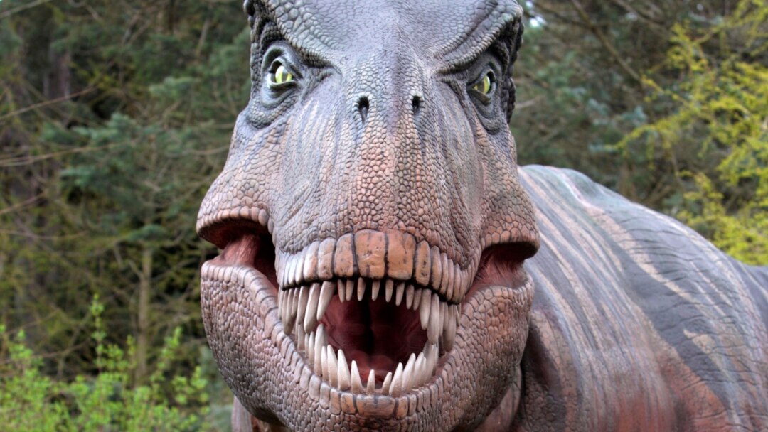 Documentary reveals what the Tyrannosaurus Rex really looked like •