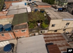 In this Jan.10, 2020 photo, Luis Cassiano shows his green roof at his home in Arara Park favela, Rio de Janeiro, Brazil. "I think people will, one day, really wind up joining. We'll need it. Just look at the heat of all those roofs together!" (AP Photo/Renato Spyrro)