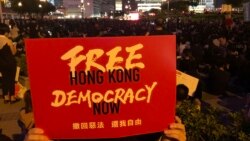 VOA连线（申华）：G-20峰会前 反送中抗议者向驻香港19国请愿