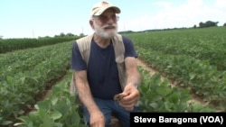 University of Maryland soil scientist Ray Weil says tilled soil erodes more easily and holds less water.
