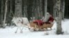 Santa in Trouble? Reindeer Shrink as Arctic Warms