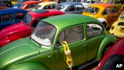 In this April 21, 2017, file photo, Volkswagen Beetles displayed during the annual gathering of the "Beetle club" in Yakum, central Israel. (AP Photo/Oded Balilty, File)