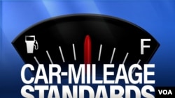 Automobile fuel gauge, with needle in the middle, on texture with CAR-MILEAGE STANDARDS lettering, finished graphic