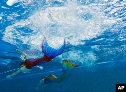 Children swim during the German Championships in Mermaid swimming in the Ottilienbad in Suhl, Germany, Saturday, Sept. 24, 2016. Participants dressed in mermaid costumes swim in different age classes over 50 and 100 meters distances . (AP Photo/Jens Meyer)