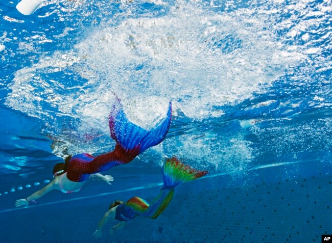 Children swim during the German Championships in Mermaid swimming in the Ottilienbad in Suhl, Germany, Saturday, Sept. 24, 2016. Participants dressed in mermaid costumes swim in different age classes over 50 and 100 meters distances . (AP Photo/Jens Meyer)