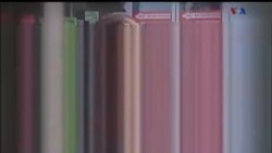 اخبار شامگاهی