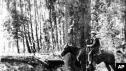 New Madrid Earthquakes 1811-12. One side of fault trench or "fissure" near banks of St. Francis River, Clay County, Arkansas. 1904.