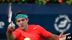 Juan Martin del Potro