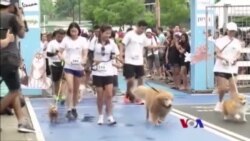 ထူးခြားဆန်းပြားသတင်းများ