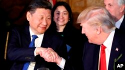 El presidente Donald Trump, estrecha la mano con el presidente chino Xi Jinping durante una cena en Mar-a-Lago, el jueves, 6 de abril de 2017, en Palm Beach, Florida. 