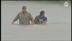 Настоящее Время. Америка – 28 августа 2017