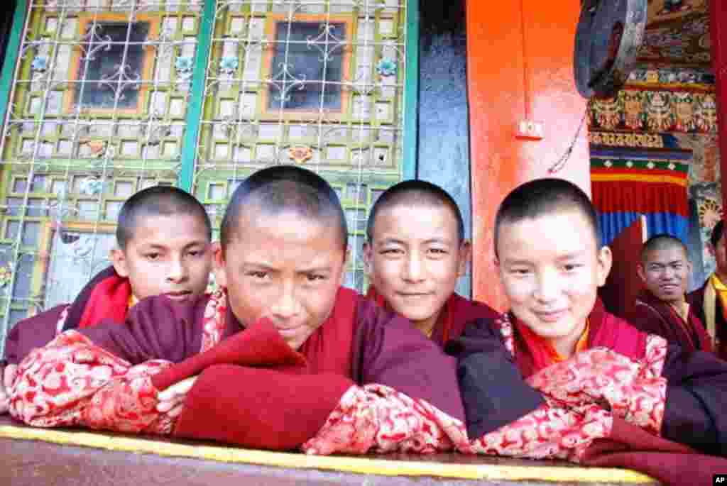 在隆德寺學習傳統佛學的小喇嘛