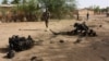 Opération conjointe du Niger et du Nigeria : 55 "terroristes" tués