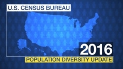 Census Report Shows Growing Diversity