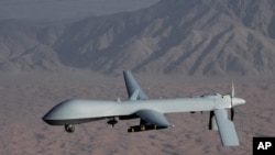 Undated handout image courtesy of the U.S. Air Force shows a MQ-1 Predator unmanned aircraft (drone).