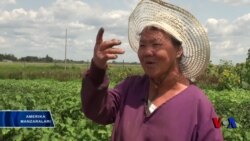 Monglar haqida eshitganmisiz?