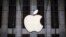 FILE - An Apple logo hangs above the entrance to the Apple store on 5th Avenue in the Manhattan borough of New York City, July 21, 2015. 