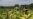 US Farmers Back Immigration Reform