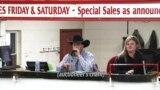 On the Job: Auctioneer