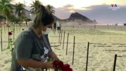 Բրազիլիայի Կապակաբանա լողափում վարդեր են տեադարվել` ի հիշատակ երկրում կորոնավիրուսի 500 հազար զոհերի