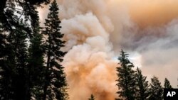 The Dixie Fire burns in Lassen National Forest, Calif., near Jonesville, July 26, 2021.