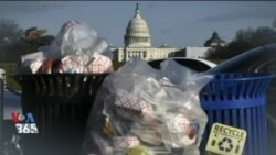 اخبار شامگاهی